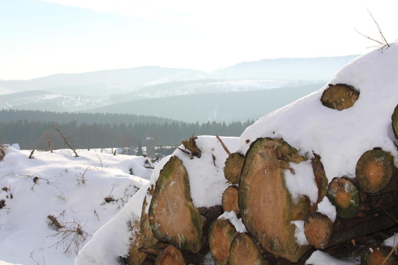 Ferienhaus Am Ruhberg Winterberg Luaran gambar