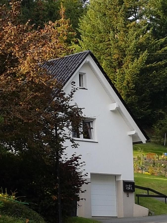 Ferienhaus Am Ruhberg Winterberg Luaran gambar